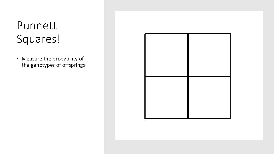 Punnett Squares! • Measure the probability of the genotypes of offsprings Punnett Squares! • Measure the probability of the genotypes of offsprings