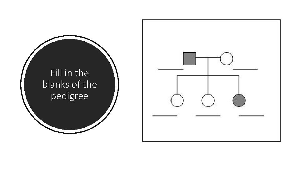 Fill in the blanks of the pedigree Fill in the blanks of the pedigree