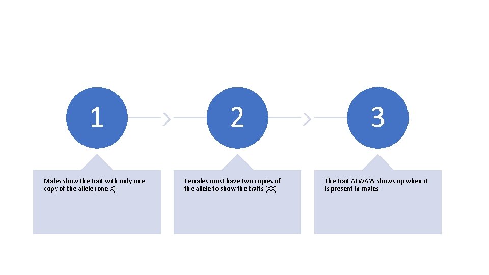 1 Males show the trait with only one copy of the allele (one X) 1 Males show the trait with only one copy of the allele (one X)