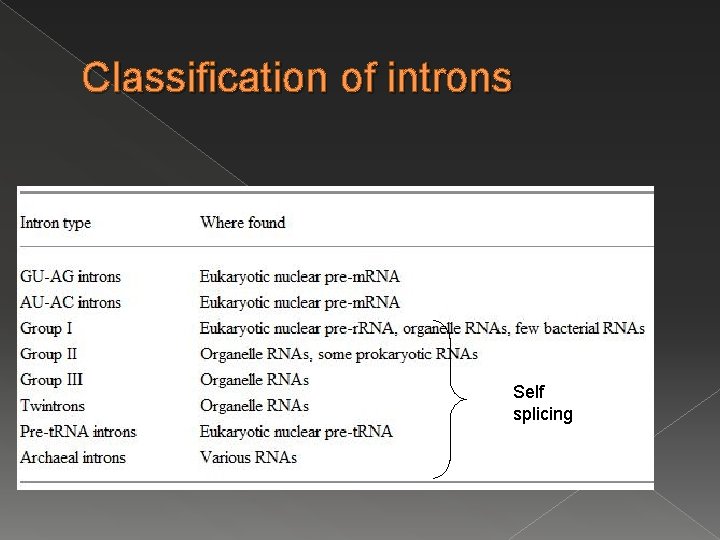 Classification of introns Self splicing Classification of introns Self splicing