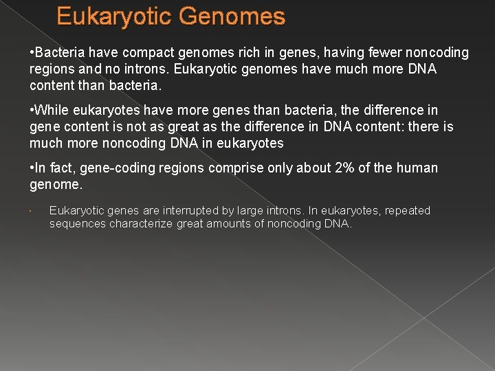 Eukaryotic Genomes • Bacteria have compact genomes rich in genes, having fewer noncoding regions Eukaryotic Genomes • Bacteria have compact genomes rich in genes, having fewer noncoding regions