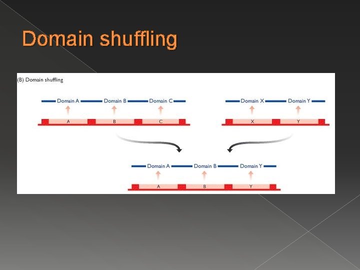 Domain shuffling Domain shuffling
