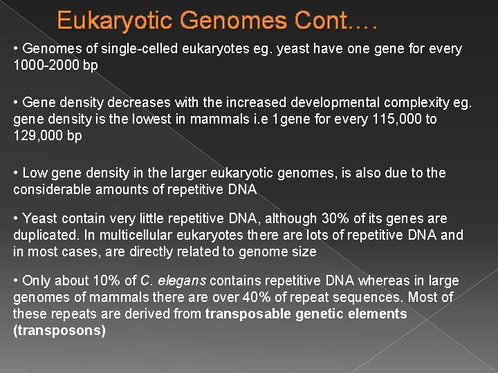 Eukaryotic Genomes Cont…. • Genomes of single-celled eukaryotes eg. yeast have one gene for Eukaryotic Genomes Cont…. • Genomes of single-celled eukaryotes eg. yeast have one gene for