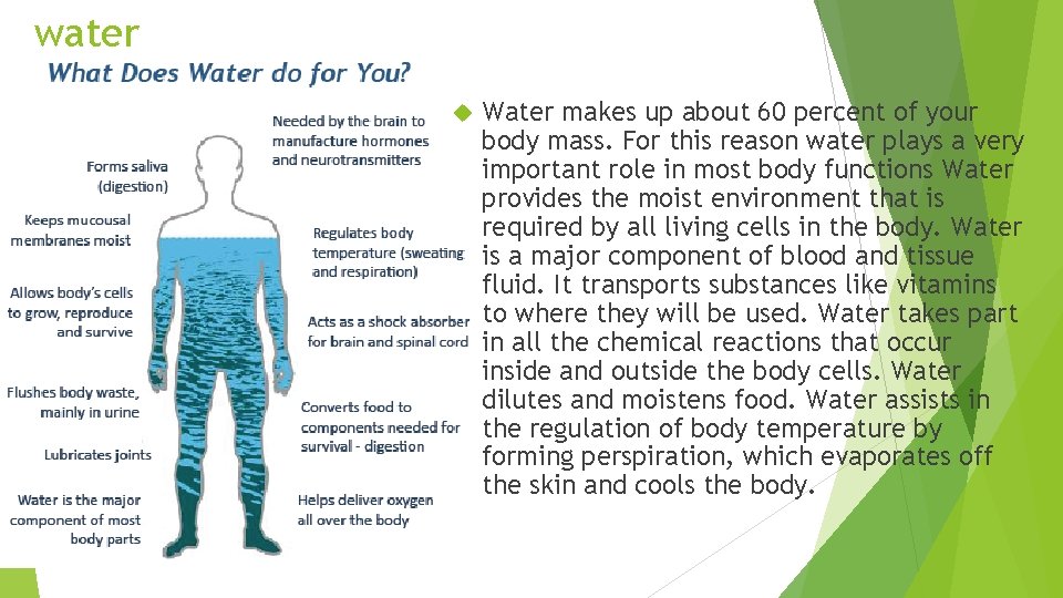 water Water makes up about 60 percent of your body mass. For this reason