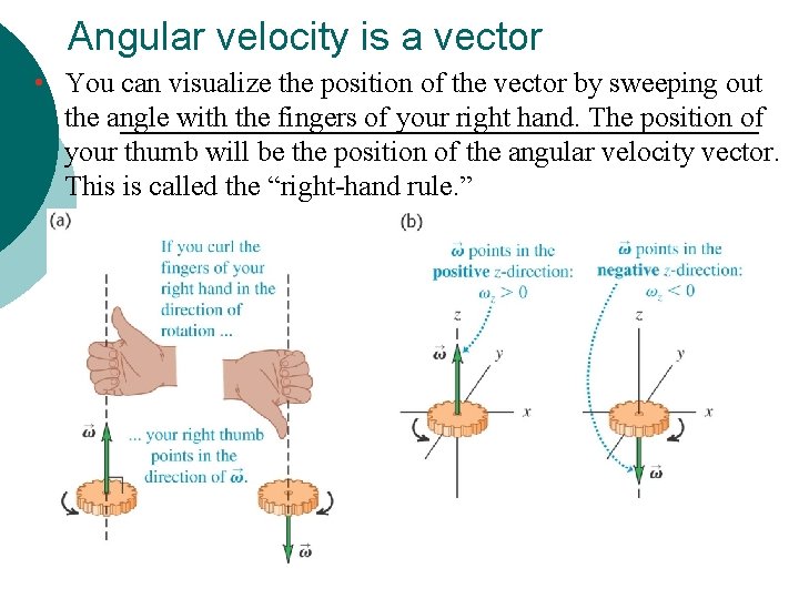 Angular velocity is a vector • You can visualize the position of the vector