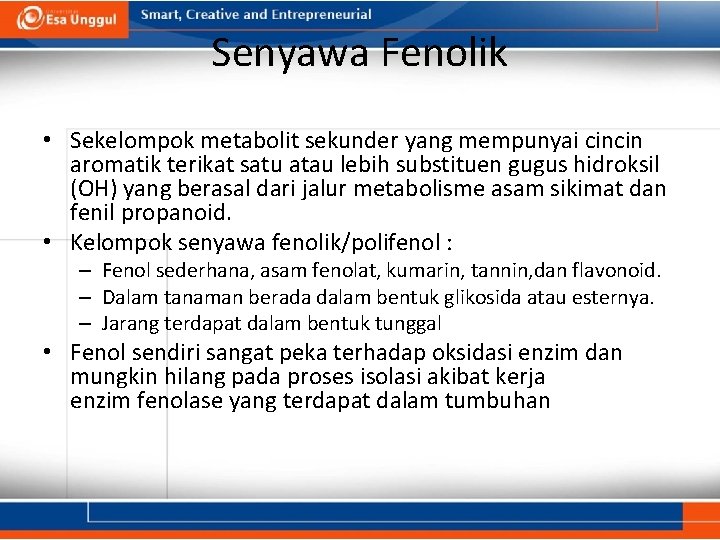 Senyawa Fenolik • Sekelompok metabolit sekunder yang mempunyai cincin aromatik terikat satu atau lebih