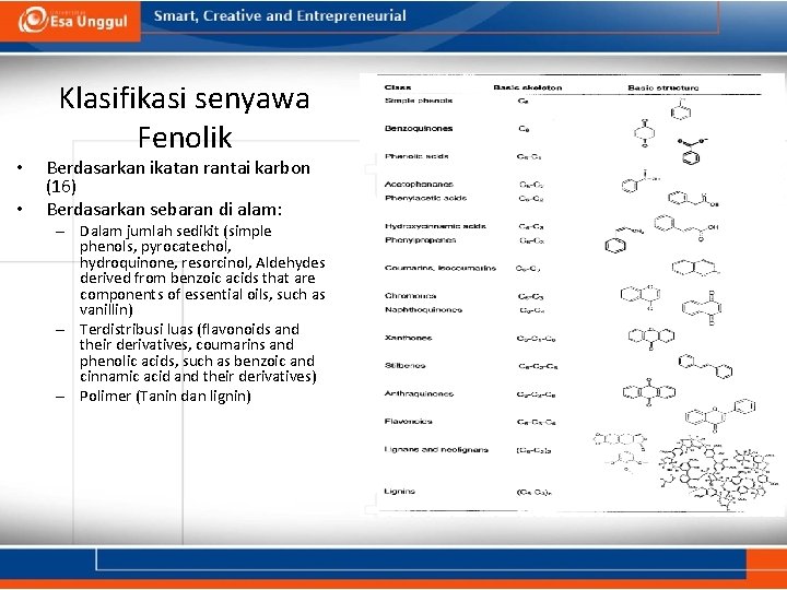  • • Klasifikasi senyawa Fenolik Berdasarkan ikatan rantai karbon (16) Berdasarkan sebaran di