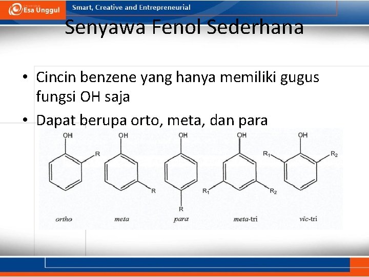 Senyawa Fenol Sederhana • Cincin benzene yang hanya memiliki gugus fungsi OH saja •