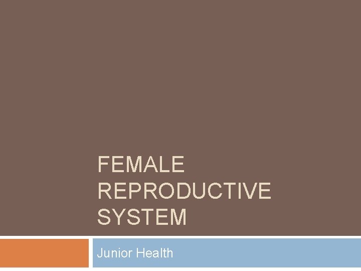 FEMALE REPRODUCTIVE SYSTEM Junior Health 