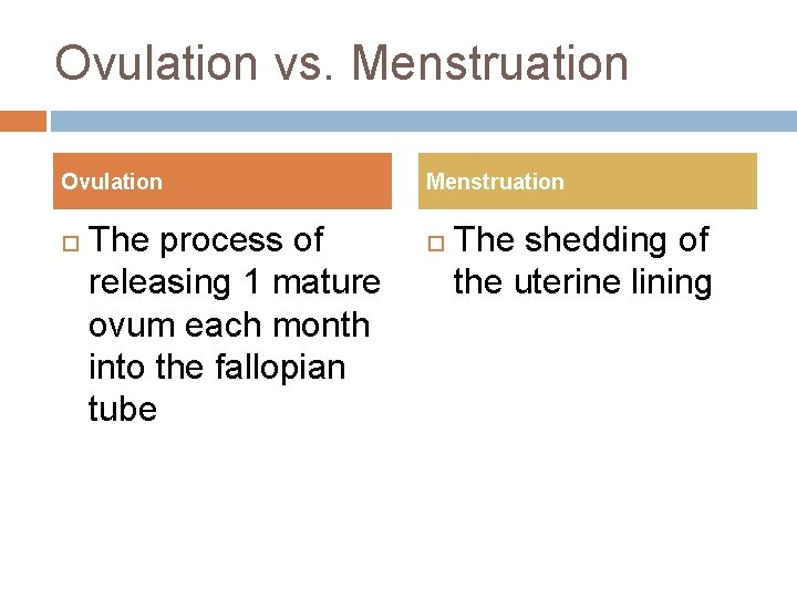 Ovulation vs. Menstruation Ovulation The process of releasing 1 mature ovum each month into