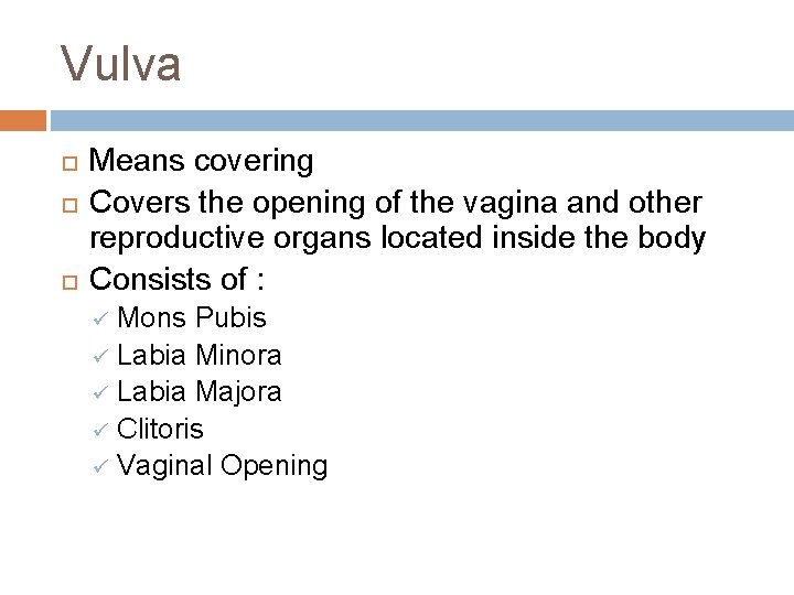Vulva Means covering Covers the opening of the vagina and other reproductive organs located