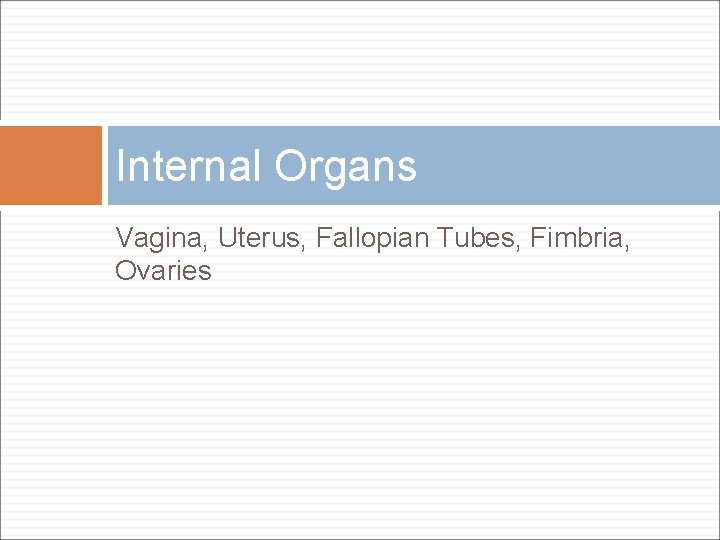 Internal Organs Vagina, Uterus, Fallopian Tubes, Fimbria, Ovaries 