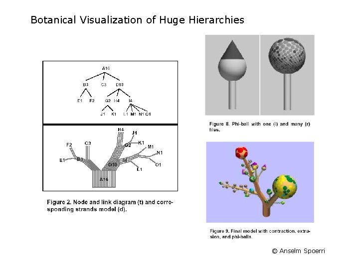 Botanical Visualization of Huge Hierarchies © Anselm Spoerri Botanical Visualization of Huge Hierarchies © Anselm Spoerri