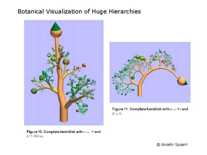 Botanical Visualization of Huge Hierarchies © Anselm Spoerri Botanical Visualization of Huge Hierarchies © Anselm Spoerri