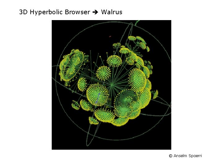 3 D Hyperbolic Browser Walrus © Anselm Spoerri 3 D Hyperbolic Browser Walrus © Anselm Spoerri