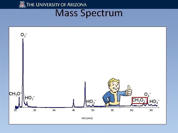 Mass Spectrum O 2 ‾ CH 3 O‾ 30 HO 2‾ 35 O 4