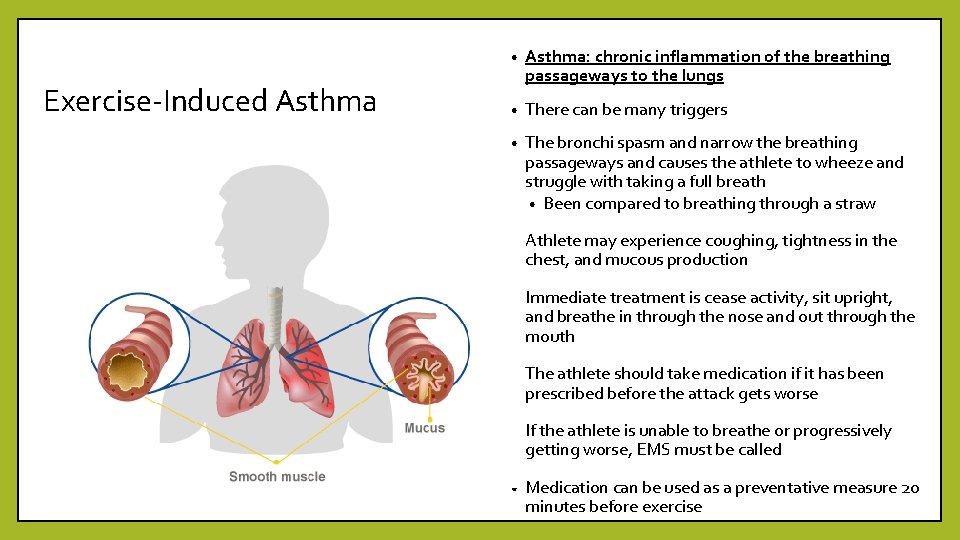 Exercise-Induced Asthma • Asthma: chronic inflammation of the breathing passageways to the lungs •
