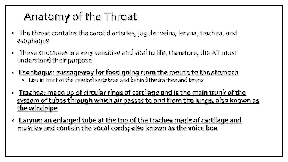 Anatomy of the Throat • The throat contains the carotid arteries, jugular veins, larynx,