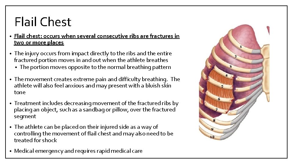 Flail Chest • Flail chest: occurs when several consecutive ribs are fractures in two