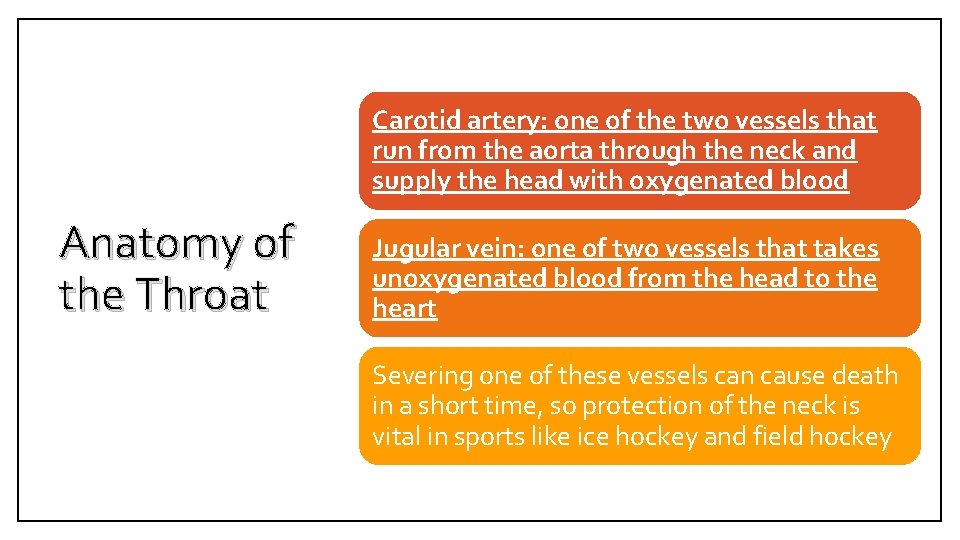 Carotid artery: one of the two vessels that run from the aorta through the