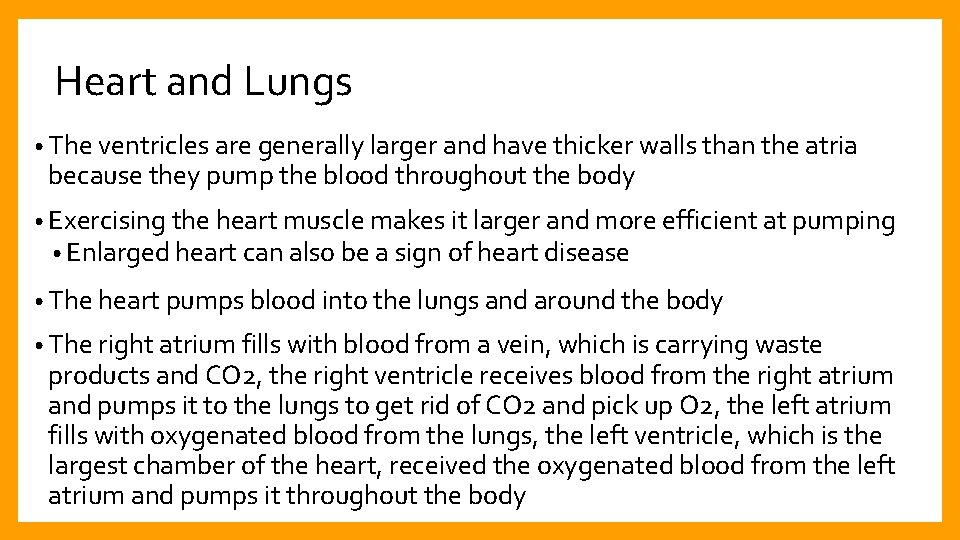 Heart and Lungs • The ventricles are generally larger and have thicker walls than