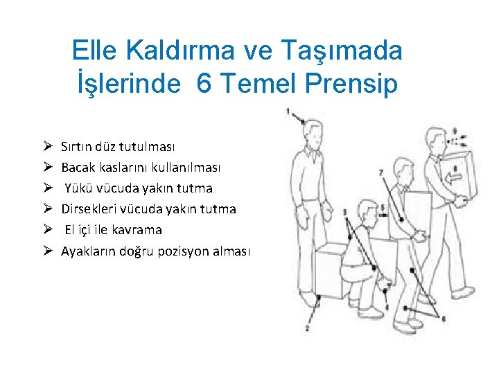 Elle Kaldırma ve Taşımada İşlerinde 6 Temel Prensip Ø Ø Ø Sırtın düz tutulması