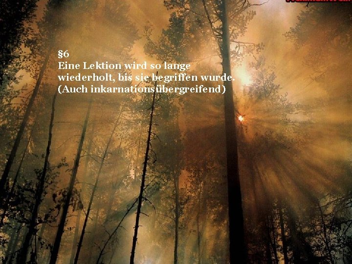 § 6 Eine Lektion wird so lange wiederholt, bis sie begriffen wurde. (Auch inkarnationsübergreifend)