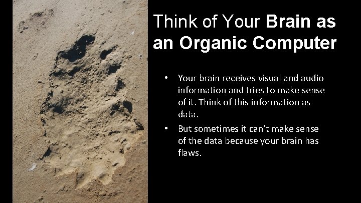 Think of Your Brain as an Organic Computer • Your brain receives visual and