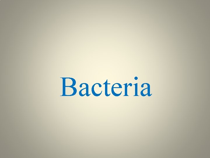 Bacteria 