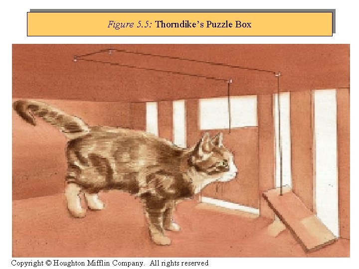 Figure 5. 5: Thorndike’s Puzzle Box Copyright © Houghton Mifflin Company. All rights reserved