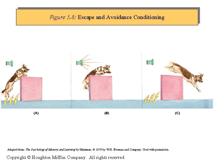 Figure 5. 8: Escape and Avoidance Conditioning Adapted from: The Psychology of Memory and