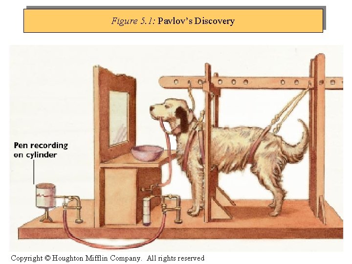 Figure 5. 1: Pavlov’s Discovery Copyright © Houghton Mifflin Company. All rights reserved 