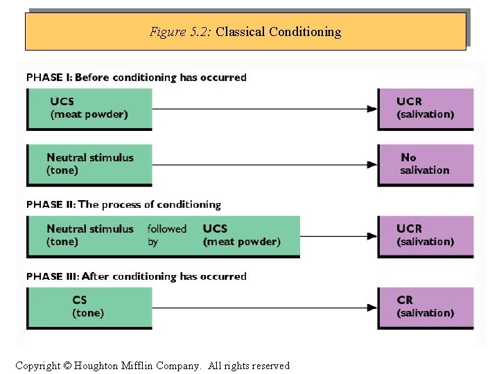 Figure 5. 2: Classical Conditioning Copyright © Houghton Mifflin Company. All rights reserved 