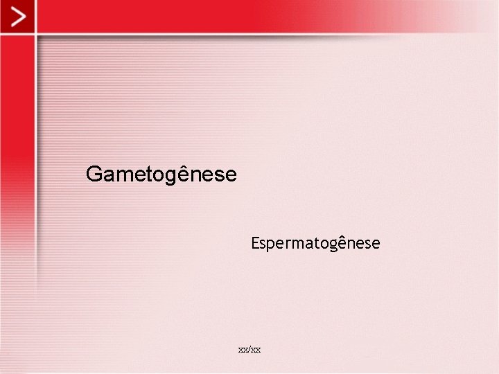 Gametogênese Espermatogênese xx/xx 