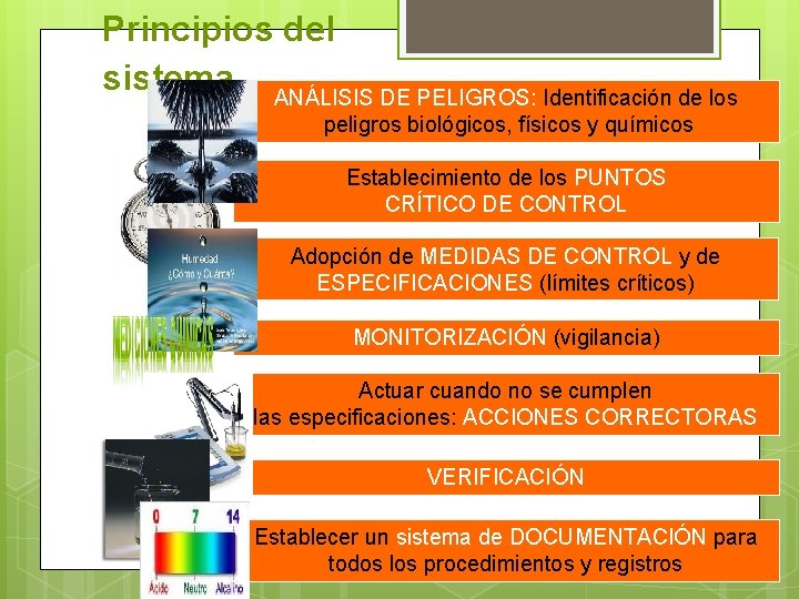 Principios del sistema. ANÁLISIS DE PELIGROS: Identificación de los peligros biológicos, físicos y químicos