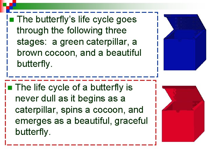 n The butterfly’s life cycle goes through the following three stages: a green caterpillar,