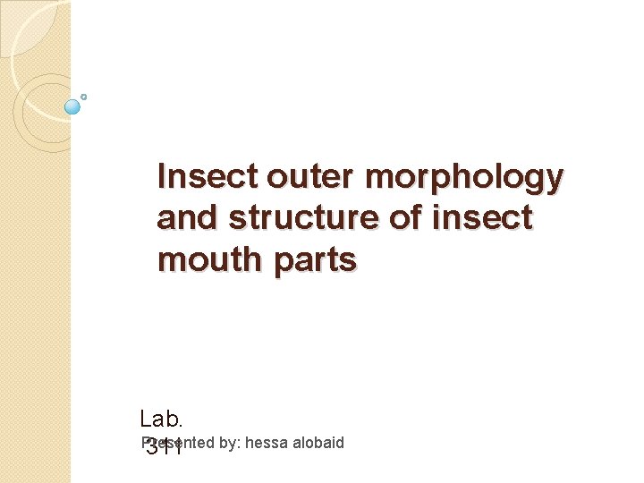 Insect outer morphology and structure of insect mouth parts Lab. Presented 311 by: hessa Insect outer morphology and structure of insect mouth parts Lab. Presented 311 by: hessa