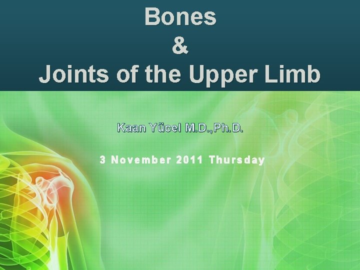Bones & Joints of the Upper Limb Kaan Yücel M. D. , Ph. D.