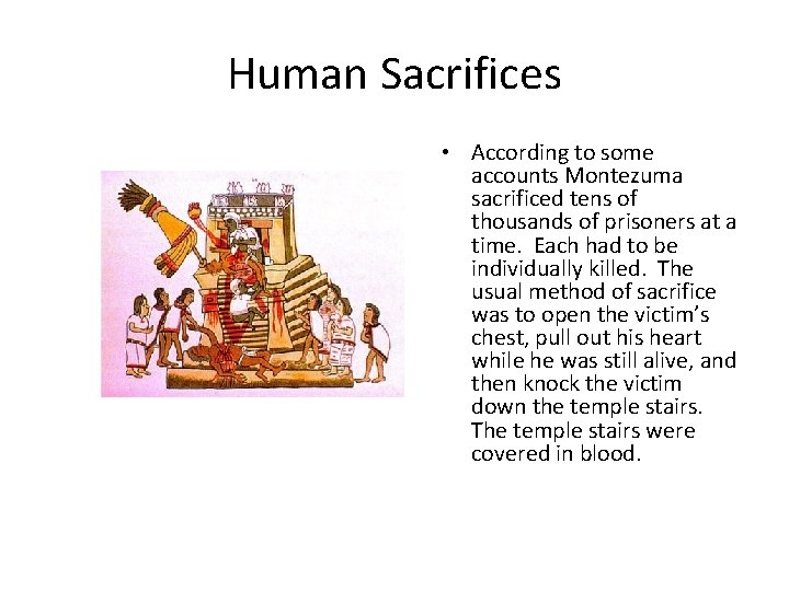 Human Sacrifices • According to some accounts Montezuma sacrificed tens of thousands of prisoners Human Sacrifices • According to some accounts Montezuma sacrificed tens of thousands of prisoners