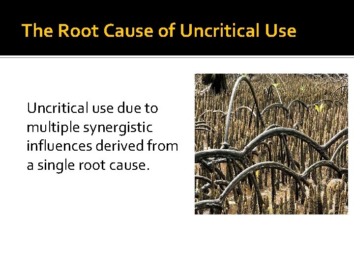 The Root Cause of Uncritical Use Uncritical use due to multiple synergistic influences derived