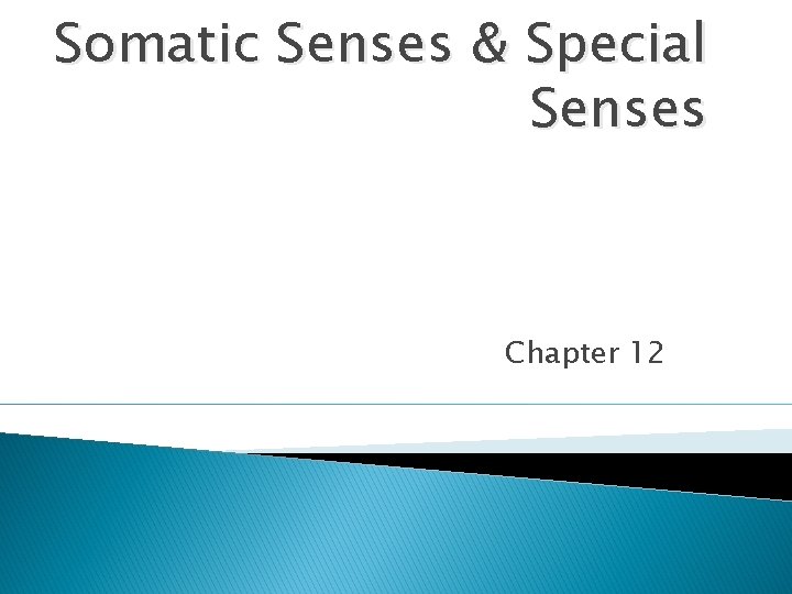 Somatic Senses & Special Senses Chapter 12 