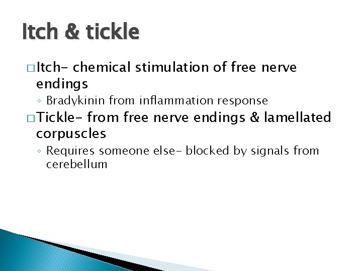 Itch & tickle � Itch- chemical stimulation of free nerve endings ◦ Bradykinin from