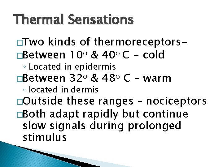 Thermal Sensations �Two kinds of thermoreceptors�Between 10 o & 40 o C - cold