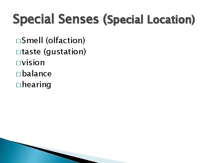 Special Senses (Special Location) � Smell (olfaction) � taste (gustation) � vision � balance