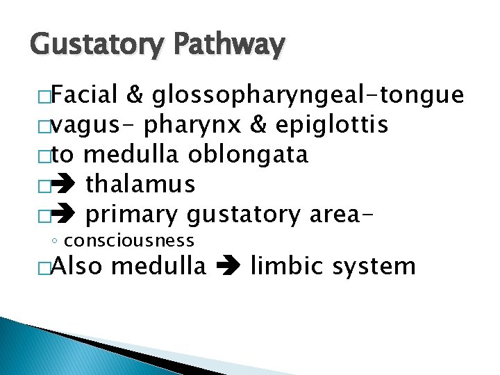 Gustatory Pathway �Facial & glossopharyngeal-tongue �vagus- pharynx & epiglottis �to medulla oblongata � thalamus