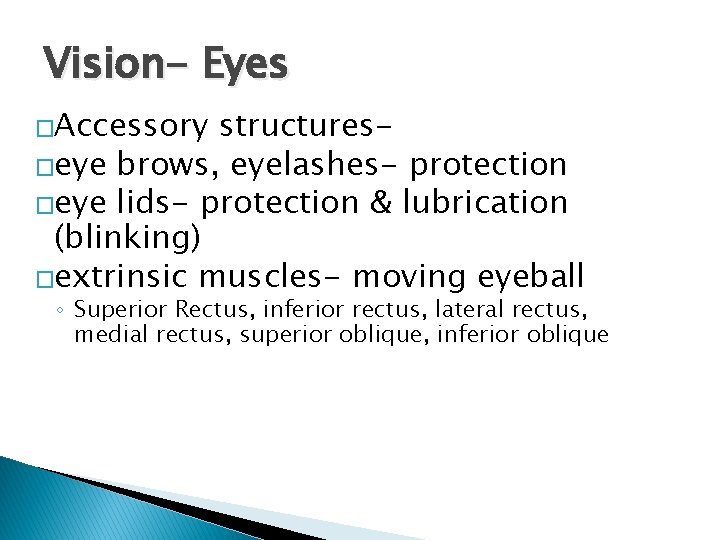 Vision- Eyes �Accessory structures�eye brows, eyelashes- protection �eye lids- protection & lubrication (blinking) �extrinsic