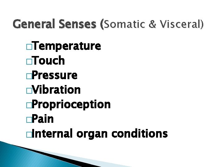 General Senses (Somatic & Visceral) �Temperature �Touch �Pressure �Vibration �Proprioception �Pain �Internal organ conditions