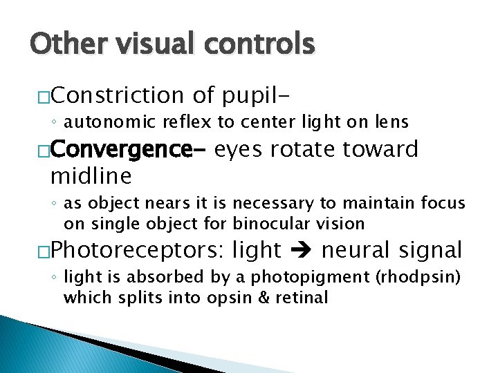 Other visual controls �Constriction of pupil- ◦ autonomic reflex to center light on lens