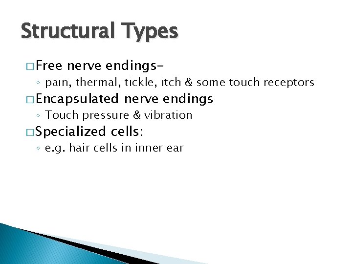 Structural Types � Free nerve endings- ◦ pain, thermal, tickle, itch & some touch
