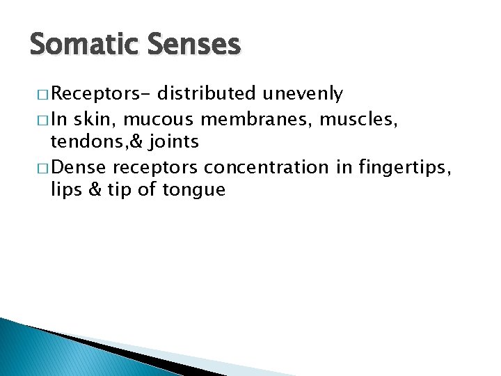 Somatic Senses � Receptors- distributed unevenly � In skin, mucous membranes, muscles, tendons, &